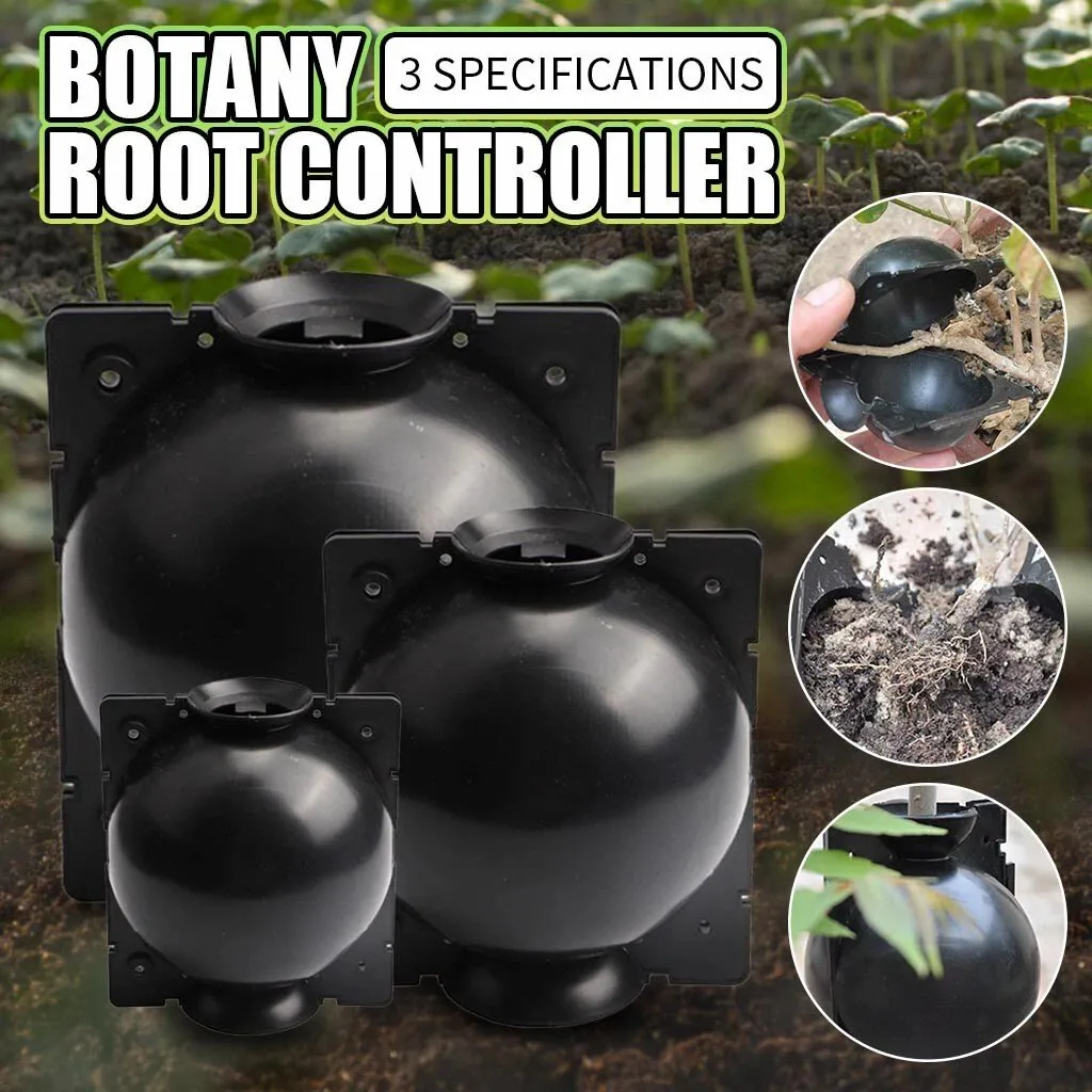 Plant Root Growing Box - gardening propagation accessory